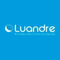 luandre consultoria logo image