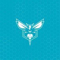 charlotte hornets logo image