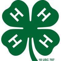 new york state 4-h foundation, inc. logo image