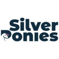 silver ponies web logo image