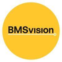 bmsvision logo image