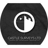 castle surveys ltd logo image