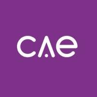 cae technology services limited logo image