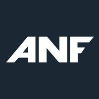 anf group, inc. logo image