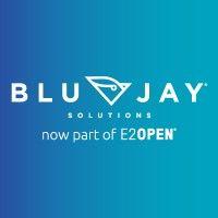 blujay solutions logo image