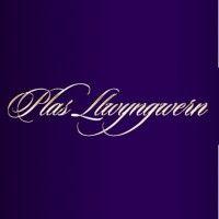 plas llwyngwern ltd logo image