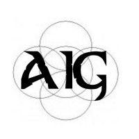 aig consulting