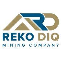 rekodiq mining company pvt ltd logo image