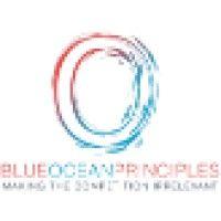 blue ocean principles logo image