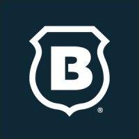 brinks home logo image