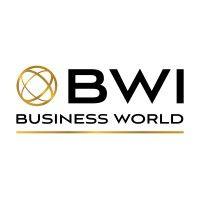 bwi business world inc. logo image