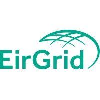 eirgrid group logo image