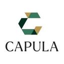 logo of Capula Investment Management Llp