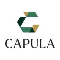 capula investment management llp logo image