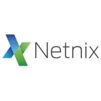 netnix s.a. logo image