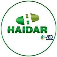 haidar transportes e logística ltda logo image