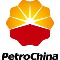 petrochina international (america), inc. logo image