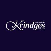 grupo krindges logo image