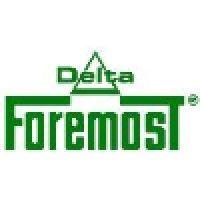 delta foremost chemical corporation logo image