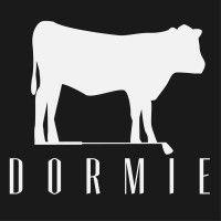 dormie workshop logo image