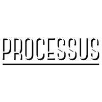 processus consulting logo image