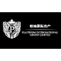 platinum international group limited logo image