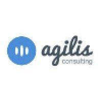 agilis consulting, llc logo image