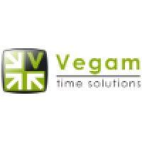 vegam - time solutions logo image