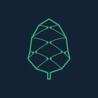 pine protocol foundation