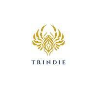 trindie media logo image