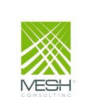 mesh consulting, llc logo image