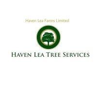 haven lea tree services ltd logo image