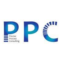 precise process consulting llc