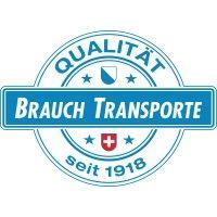 brauch transport ag logo image