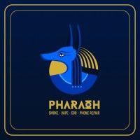 pharaoh store (retail chain) logo image