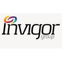 invigor group logo image