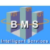 bms intelligent services