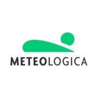 meteologica logo image