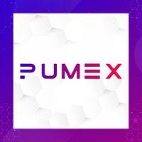 pumex computing, llc logo image