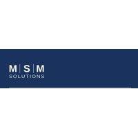 msm solutions inc. logo image