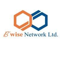 b'wise network ltd. logo image