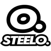 steelo sports logo image