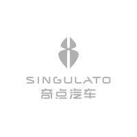 singulato logo image