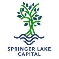 springer lake capital & advisory logo image