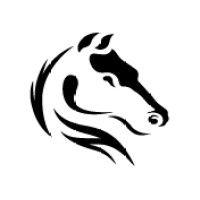 darkhorse analytics logo image