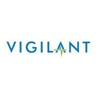 vigilant software logo image