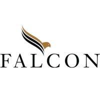 falcon capital partners logo image