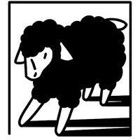 longwool media logo image