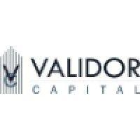 validor capital india pvt. ltd. logo image