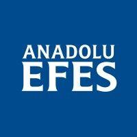 anadolu efes logo image